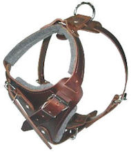 DOG Body Harness for DOG-BEST Leather DOG Harness