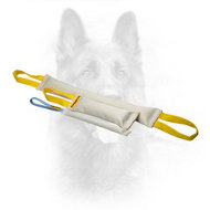 Fire Hose Dog Bite Toy With Handle for Young Dog Training