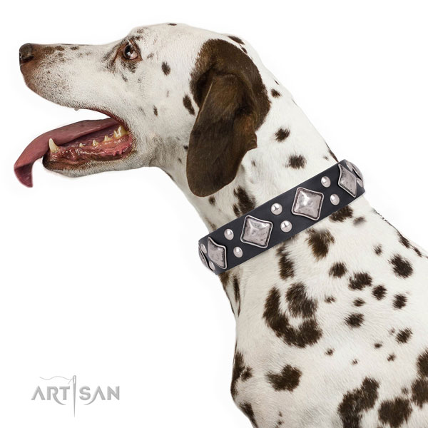 Stylish walking studded dog collar made of strong leather