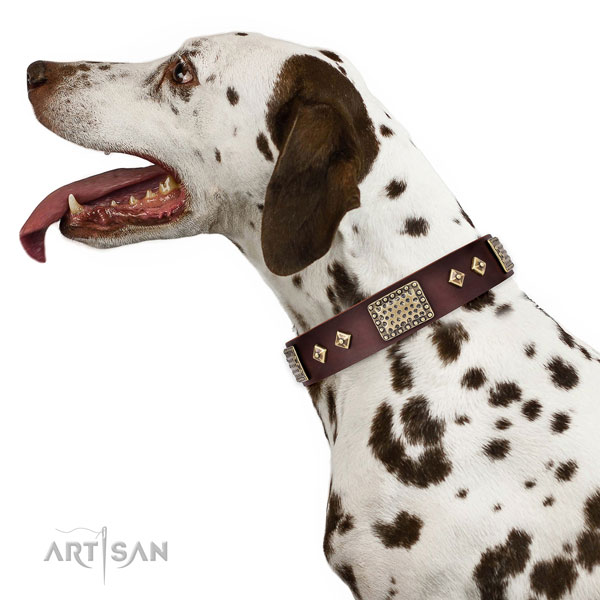 Best quality fancy walking dog collar of natural leather