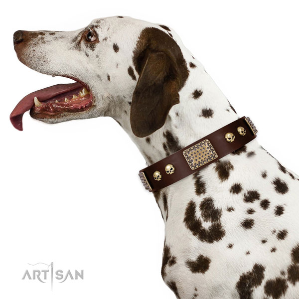 Rust-proof D-ring on full grain genuine leather dog collar for everyday use