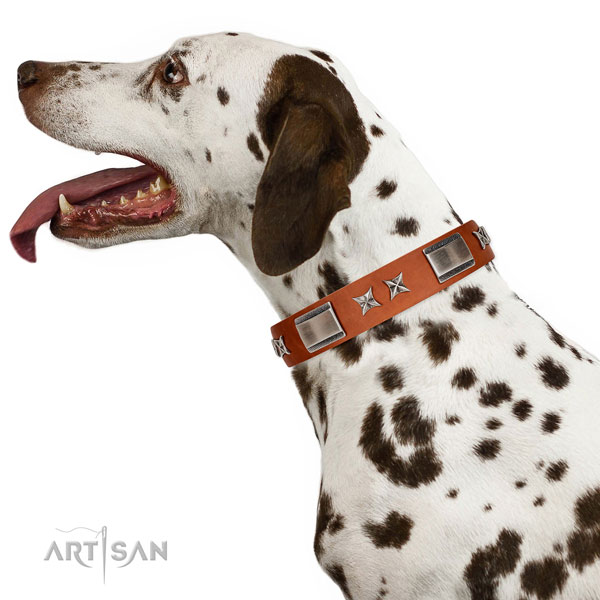 Stylish walking gentle to touch full grain leather dog collar with embellishments