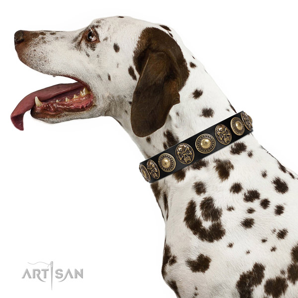 Unusual leather collar for your lovely four-legged friend
