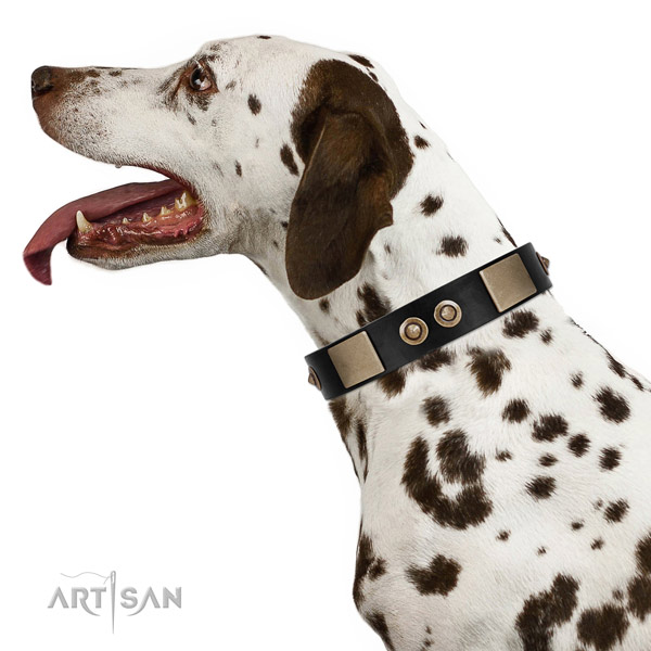 Reliable hardware on full grain natural leather dog collar for walking
