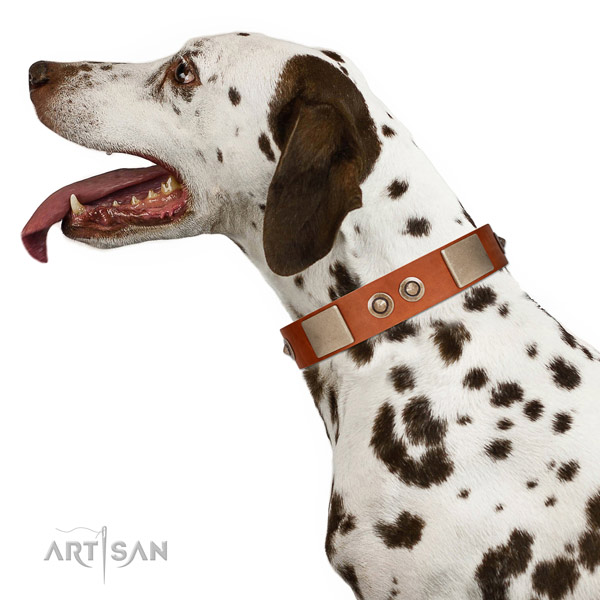 Corrosion proof hardware on full grain natural leather dog collar for walking