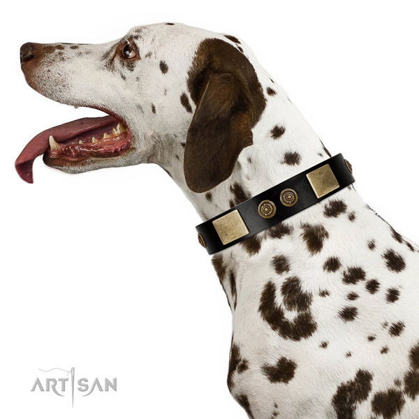 Strong D-ring on genuine leather dog collar for comfy wearing