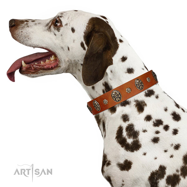 Comfortable wearing dog collar of genuine leather with amazing adornments
