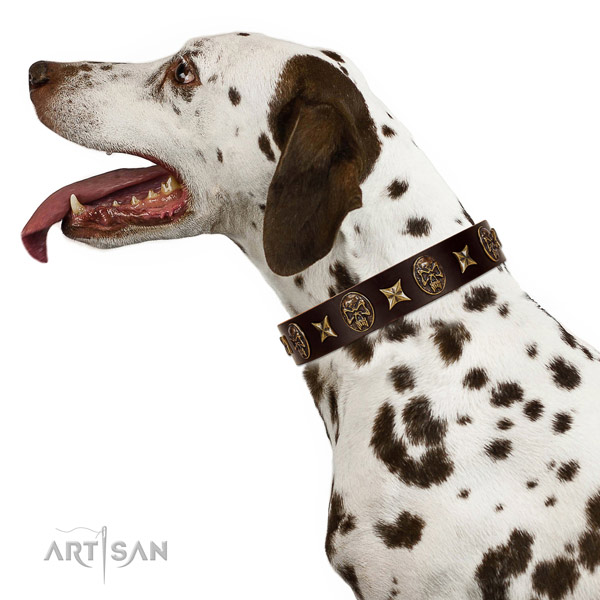 Everyday use dog collar of natural leather with amazing embellishments