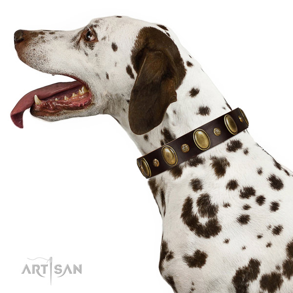 Full grain genuine leather dog collar of high quality material with remarkable embellishments