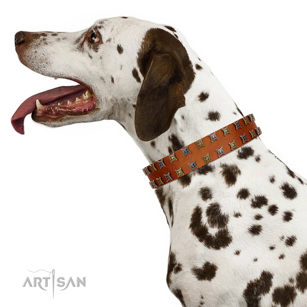 Top rate full grain natural leather dog collar with adornments for your pet