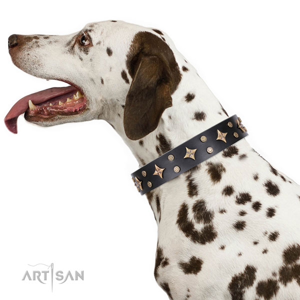 Dalmatian genuine leather dog collar for daily use
