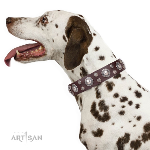 Dalmatian natural genuine leather dog collar for fancy walking