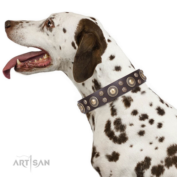 Dalmatian genuine leather dog collar for handy use