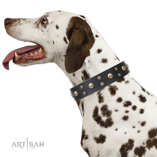 Dalmatian full grain leather dog collar for comfy wearing