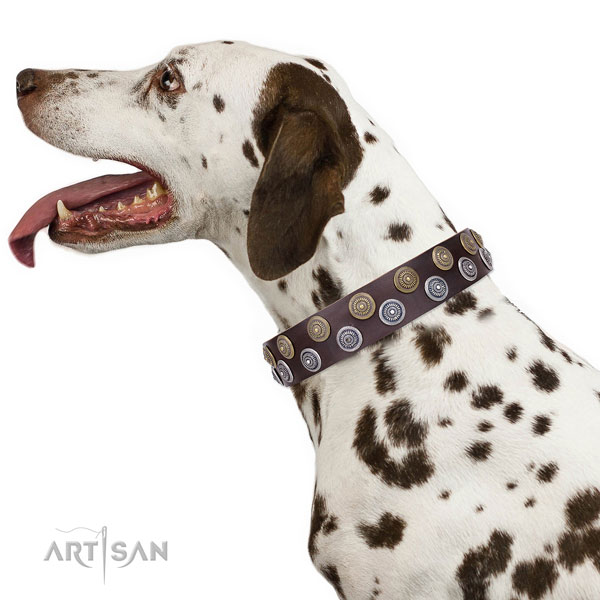 Dalmatian genuine leather dog collar for stylish walking