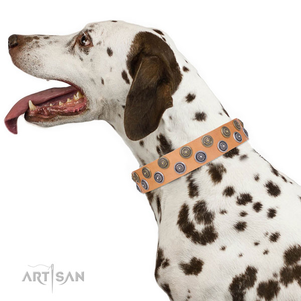 Dalmatian natural genuine leather dog collar for handy use