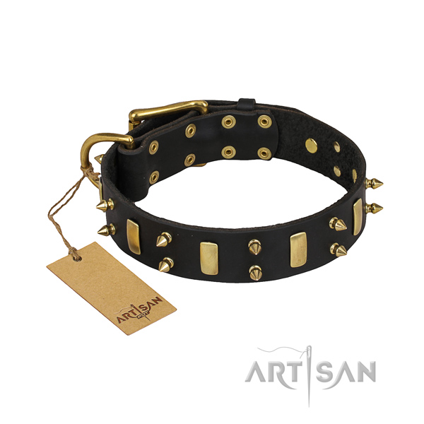Reliable leather dog collar with sturdy elements