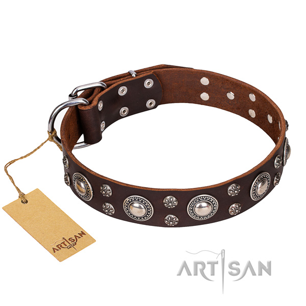 Indestructible leather dog collar with chrome plated elements