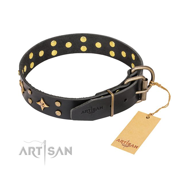 Daily walking natural genuine leather collar with embellishments for your pet
