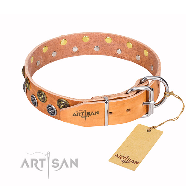 Daily walking full grain natural leather collar with studs for your dog