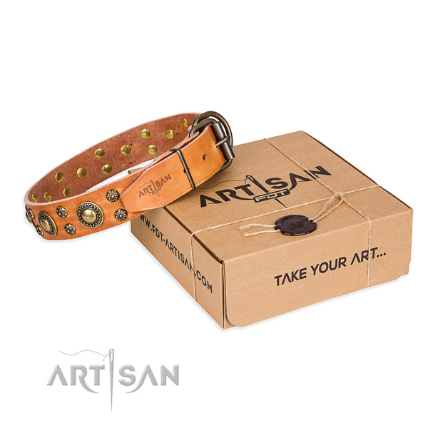 Full grain leather dog collar with decorations for stylish walking