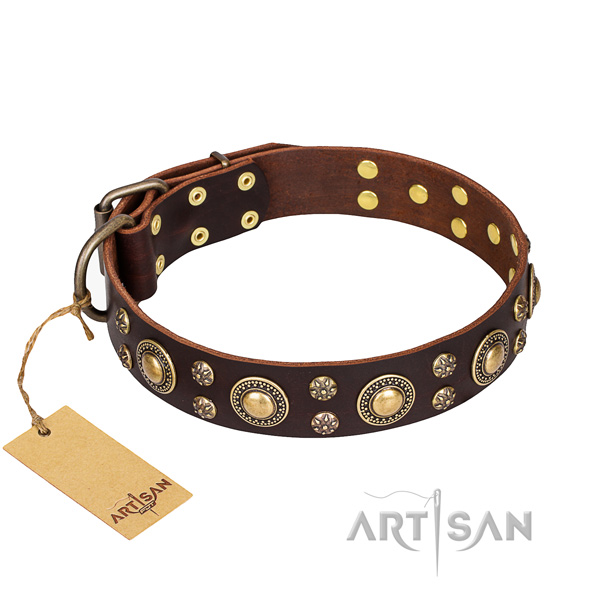 Stunning genuine leather dog collar for daily walking