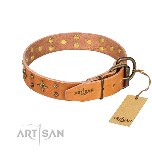 Walking genuine leather collar with adornments for your canine
