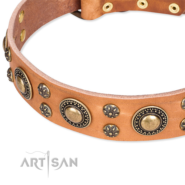 Leather dog collar with unique studs