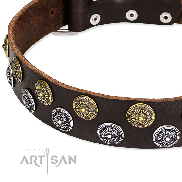 Genuine leather dog collar with trendy studs