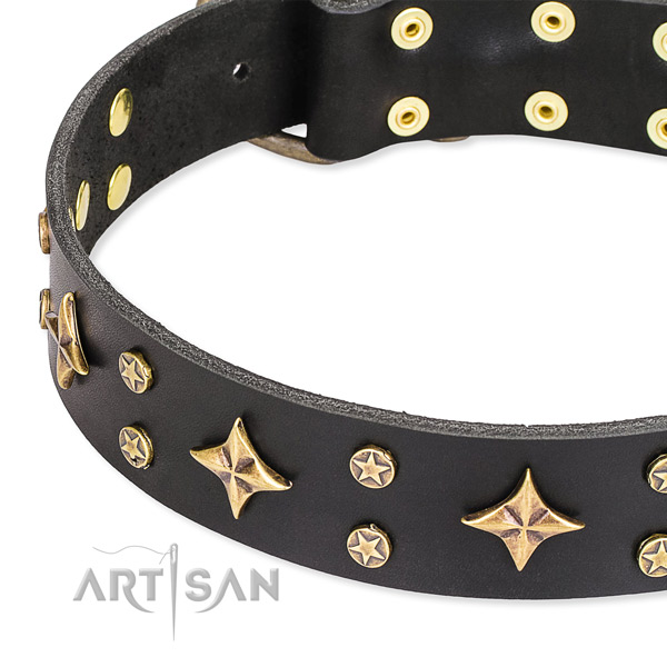 Full grain leather dog collar with remarkable adornments