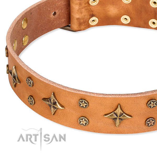 Full grain genuine leather dog collar with inimitable decorations