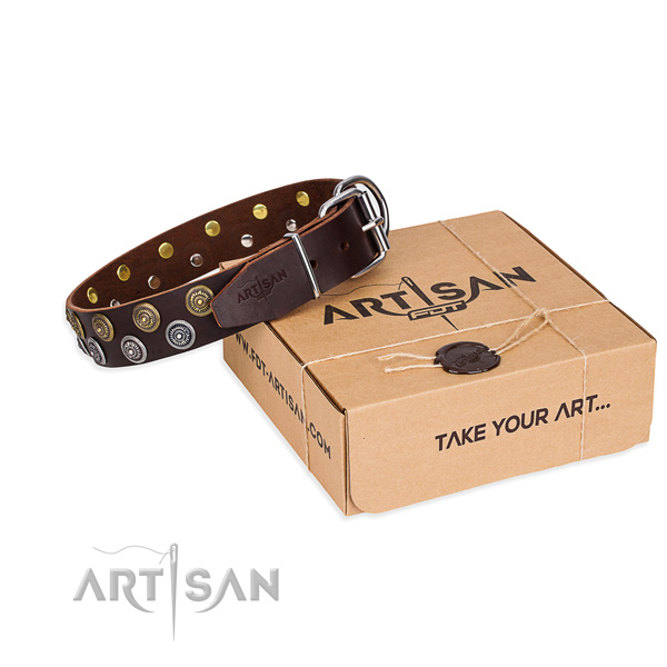 Full grain leather dog collar with embellishments for daily walking
