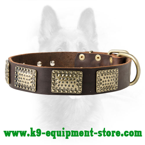 Order Leather Police Dog Collar