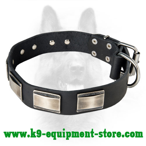 K9 Leather Dog Collar with Rust Resistant Nickel Plates