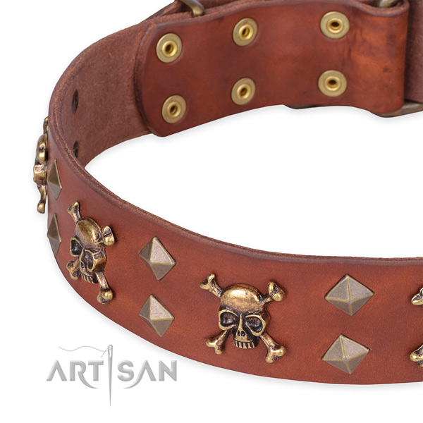 Day-to-day leather dog collar with refined decorations