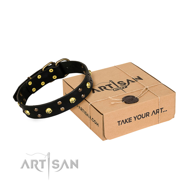 Casual style leather dog collar with refined studs