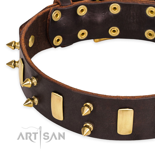 Easy to put on/off leather dog collar with extra strong brass plated set of hardware