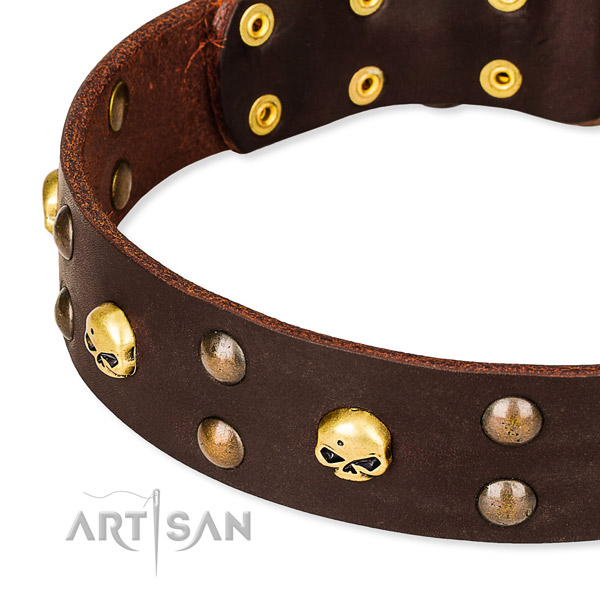 Day-to-day leather dog collar for training