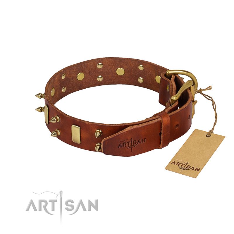 Full grain leather dog collar with smooth surface