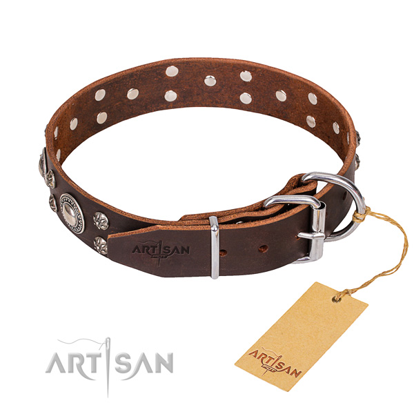 Versatile leather collar for your handsome dog