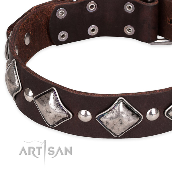 Quick to fasten leather dog collar with almost unbreakable rust-proof hardware