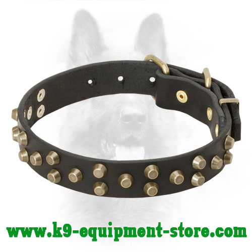 Canine Leather Collar with Gold-like Pyramids