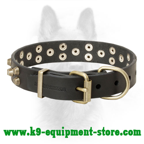 Canine Collar Leather with Stitched Brass Buckle and D-ring