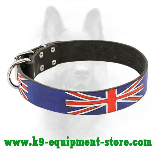 Leather Canine Collar with Steel Nickel Plated Fittings