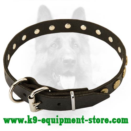 Leather Police Dog Collar with Nickel Hardware