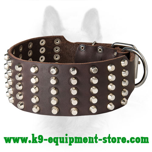 Wide Leather Canine Collar with Riveted Pyramids