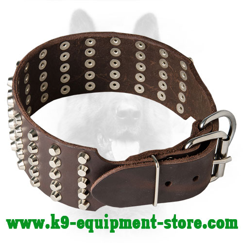 Canine Wide Leather Collar with Riveted Fittings