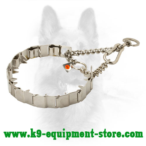 Canine Stainless Steel Pinch Collar for Obedience Training