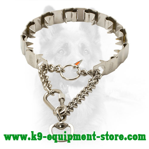 Canine Stainless Steel Prong Collar for Behavior Correction