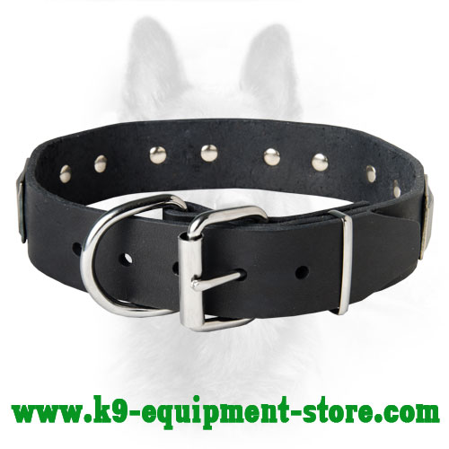Steel Nickel Plated Buckle and D-ring Riveted to Leather K9 Collar 